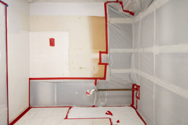Best Real Estate Mold Inspection  in Des Peres, MO