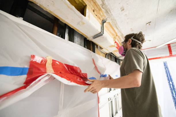 Best Mold Odor Removal Services  in Des Peres, MO