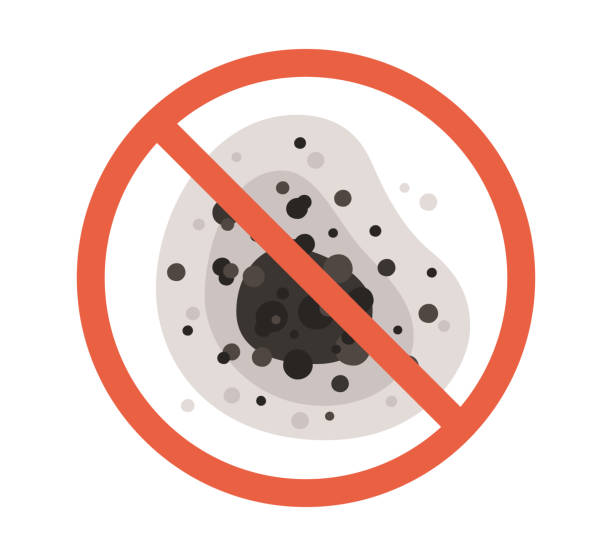 Best Mold Removal for HVAC Installations  in Des Peres, MO